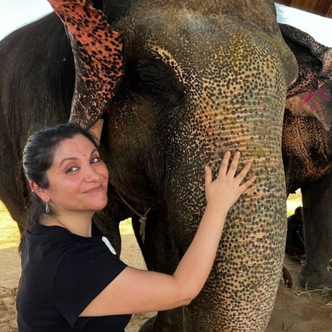 Elephant ride in japur