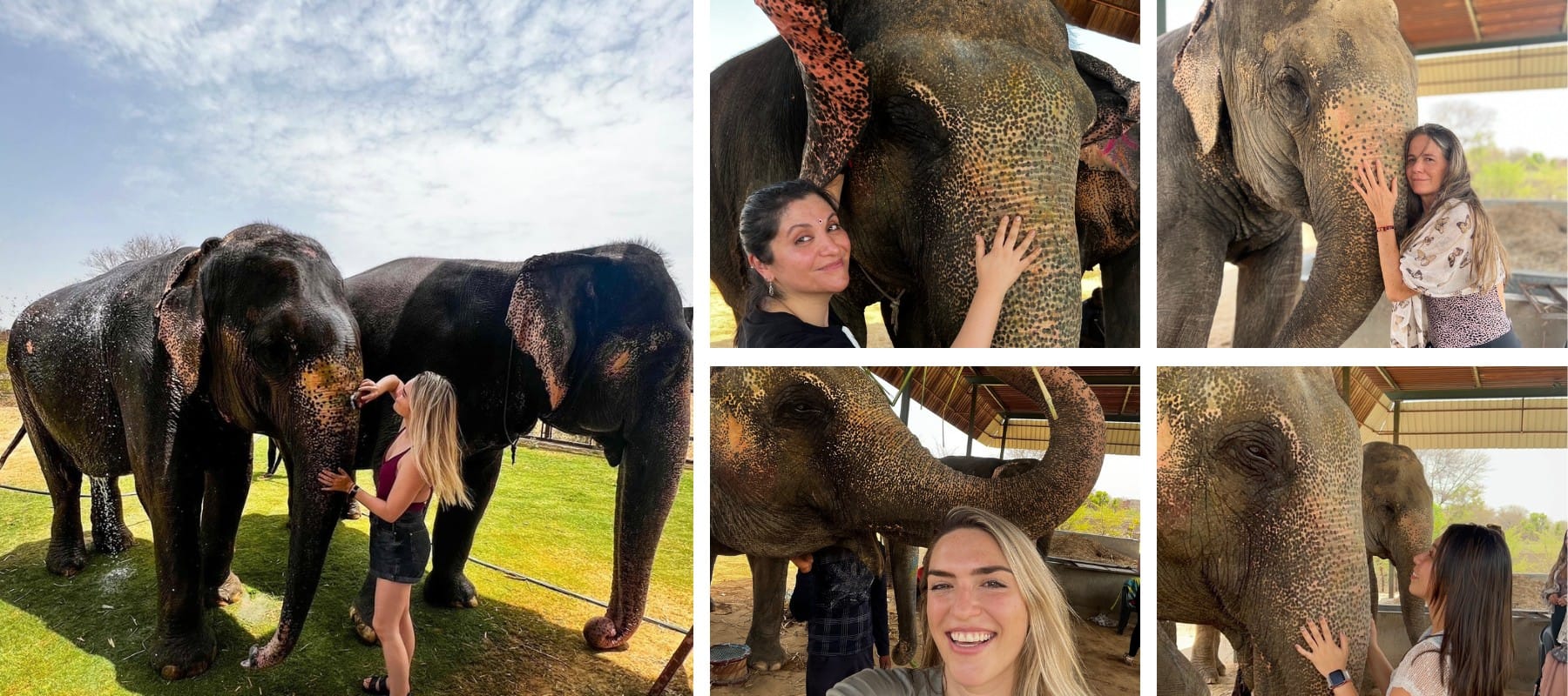 Elephant ride in jaipur