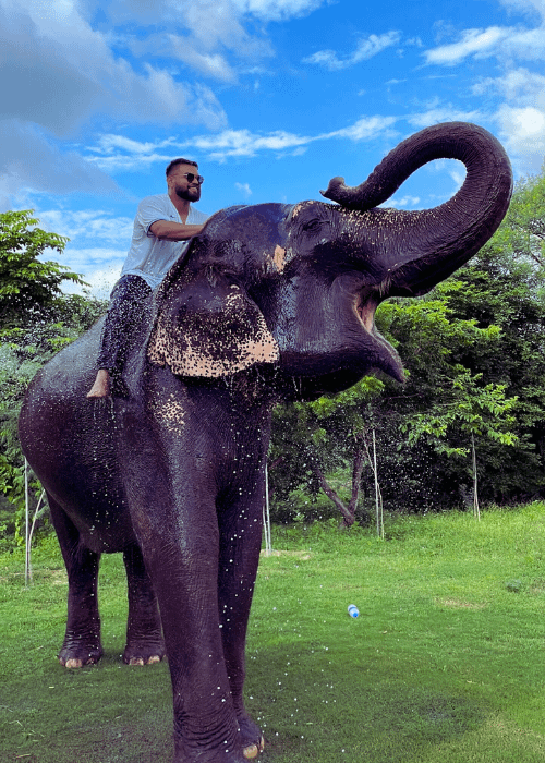 Elephant ride in Jaipur, Elephant safari in Jaipur