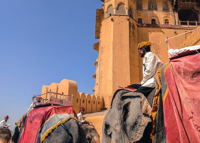 amber fort elephant rides Amber Fort Elephant Ride Price | Elefanjoy Tours