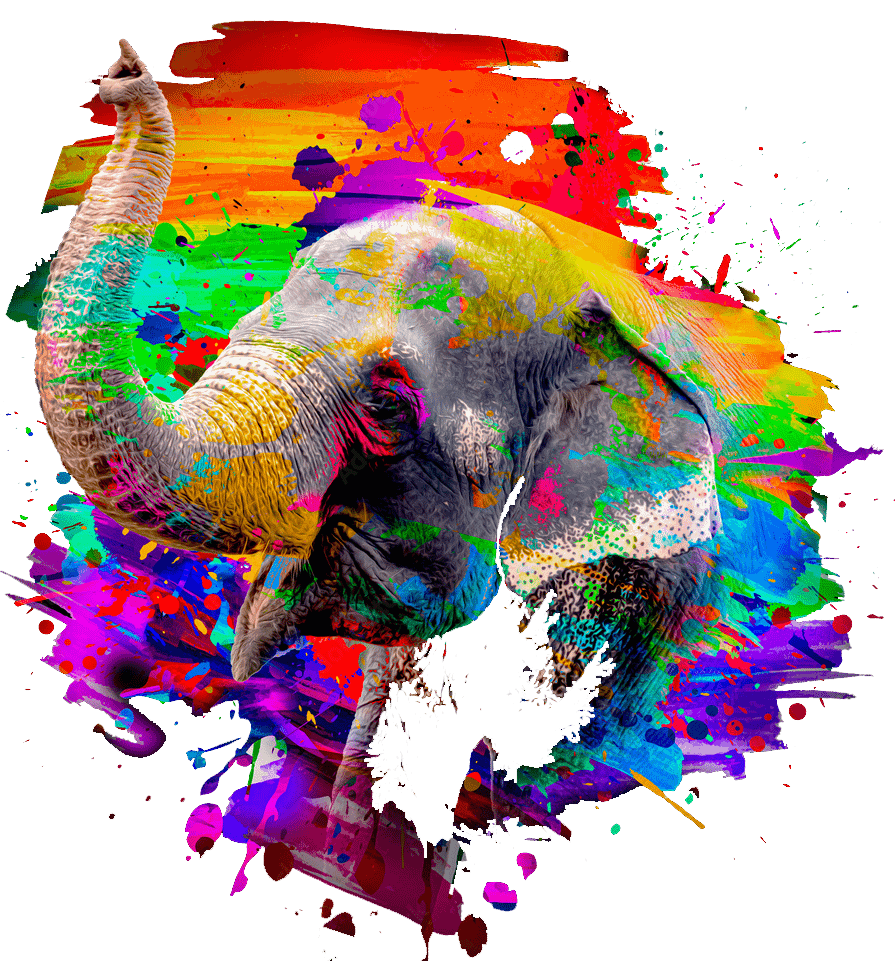 elephant safari in jaipur